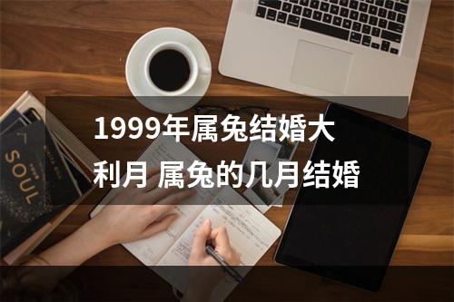 1999年属兔结婚大利月 属兔的几月结婚