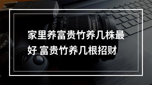 家里养富贵竹养几株最好 富贵竹养几根招财