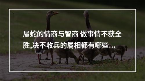 属蛇的情商与智商 做事情不获全胜,决不收兵的属相都有哪些你知道吗?