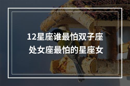 12星座谁最怕双子座 处女座最怕的星座女