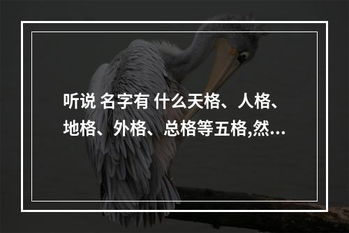 听说 名字有 什么天格、人格、地格、外格、总格等五格,然后怎么算... 55数字吉凶含义