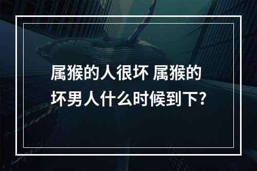 属猴的人很坏 属猴的坏男人什么时候到下?
