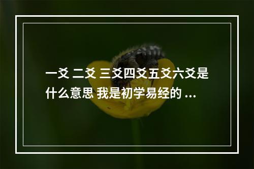 一爻 二爻 三爻四爻五爻六爻是什么意思 我是初学易经的 初六爻六二爻什么意思