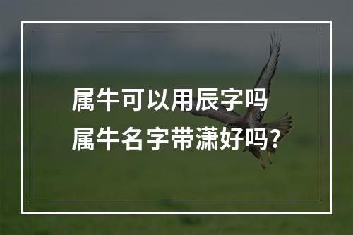 属牛可以用辰字吗 属牛名字带潇好吗?