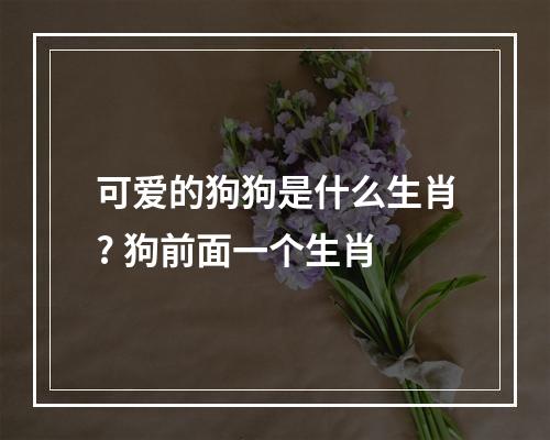 可爱的狗狗是什么生肖? 狗前面一个生肖