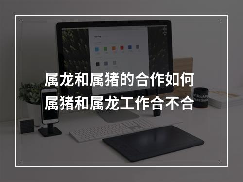 属龙和属猪的合作如何 属猪和属龙工作合不合