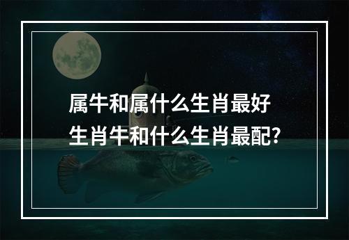 属牛和属什么生肖最好 生肖牛和什么生肖最配?