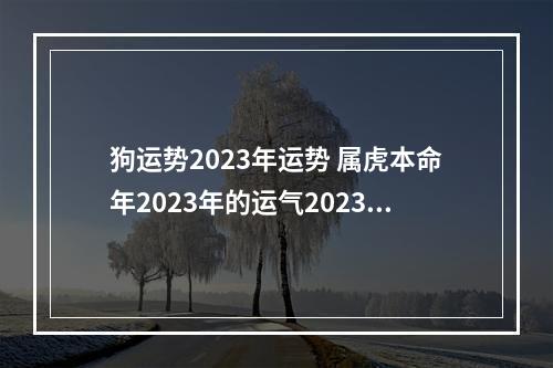 狗运势2023年运势 属虎本命年2023年的运气2023年属虎本命年运势如何