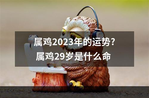 属鸡2023年的运势? 属鸡29岁是什么命