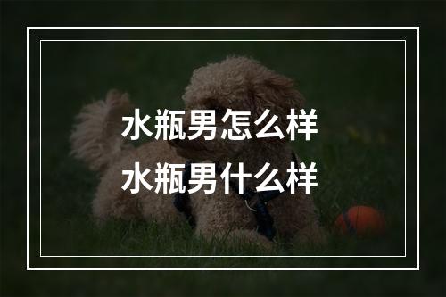 水瓶男怎么样 水瓶男什么样