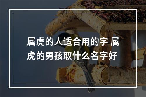 属虎的人适合用的字 属虎的男孩取什么名字好