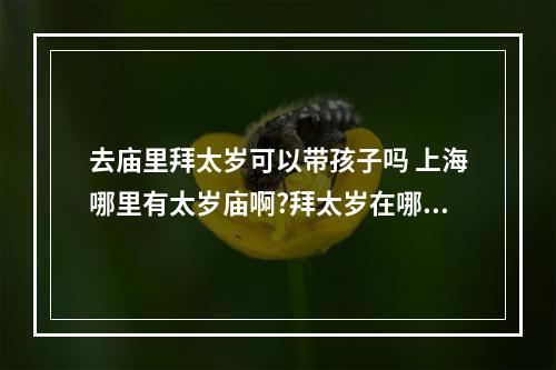 去庙里拜太岁可以带孩子吗 上海哪里有太岁庙啊?拜太岁在哪里?