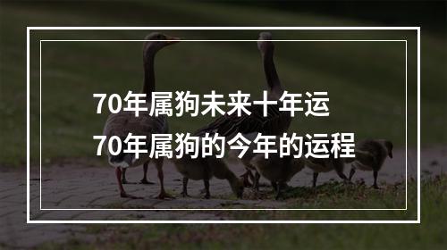 70年属狗未来十年运 70年属狗的今年的运程