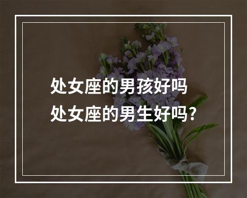 处女座的男孩好吗 处女座的男生好吗?