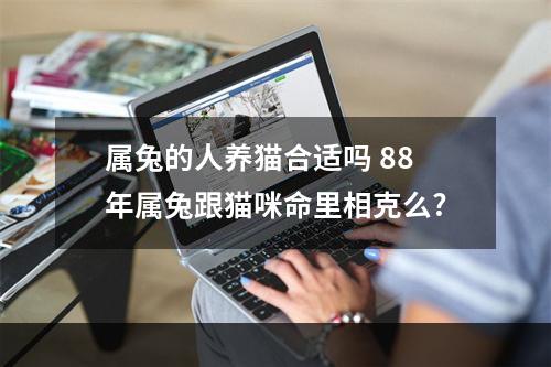 属兔的人养猫合适吗 88年属兔跟猫咪命里相克么?