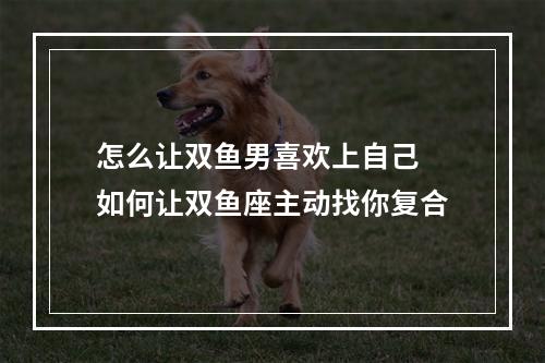 怎么让双鱼男喜欢上自己 如何让双鱼座主动找你复合