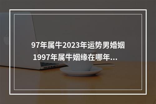 97年属牛2023年运势男婚姻 1997年属牛姻缘在哪年最旺盛