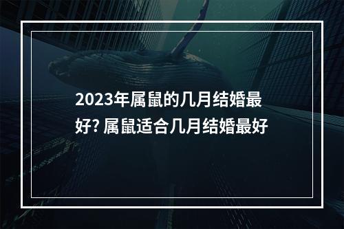 2023年属鼠的几月结婚最好? 属鼠适合几月结婚最好