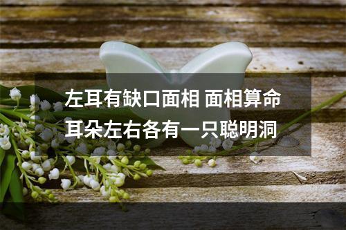 左耳有缺口面相 面相算命耳朵左右各有一只聪明洞