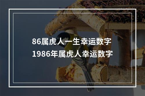 86属虎人一生幸运数字 1986年属虎人幸运数字