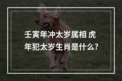 壬寅年冲太岁属相 虎年犯太岁生肖是什么?