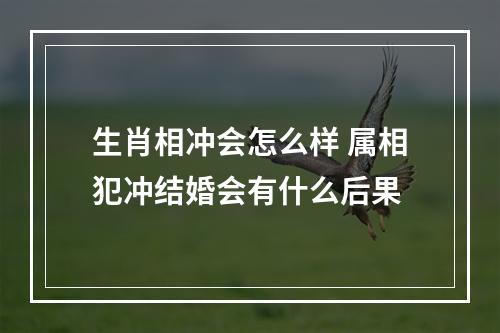 生肖相冲会怎么样 属相犯冲结婚会有什么后果