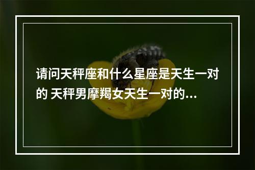 请问天秤座和什么星座是天生一对的 天秤男摩羯女天生一对的星座