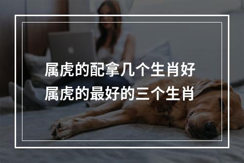 属虎的配拿几个生肖好 属虎的最好的三个生肖