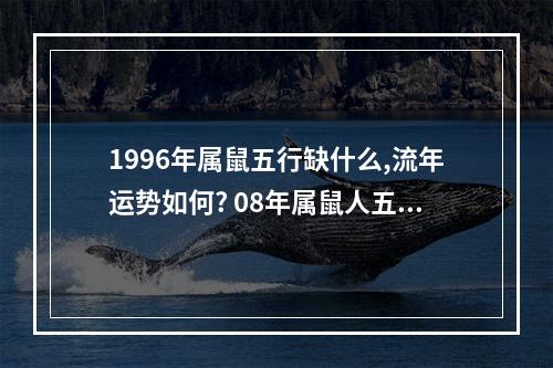 1996年属鼠五行缺什么,流年运势如何? 08年属鼠人五行属于什么