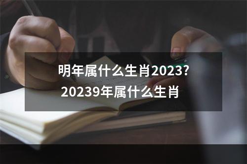 明年属什么生肖2023? 20239年属什么生肖