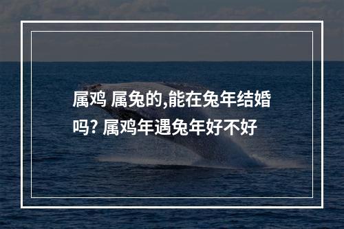 属鸡 属兔的,能在兔年结婚吗? 属鸡年遇兔年好不好