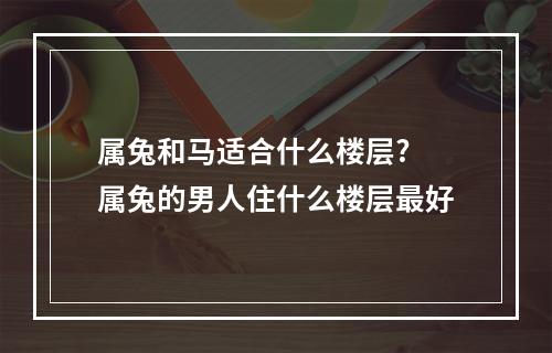 属兔和马适合什么楼层? 属兔的男人住什么楼层最好