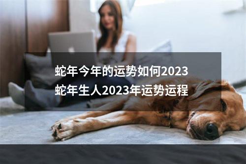 蛇年今年的运势如何2023 蛇年生人2023年运势运程