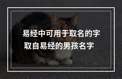 易经中可用于取名的字 取自易经的男孩名字