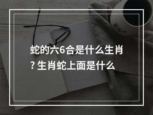 蛇的六6合是什么生肖? 生肖蛇上面是什么