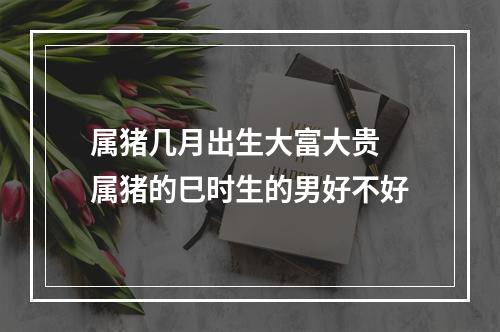 属猪几月出生大富大贵 属猪的巳时生的男好不好