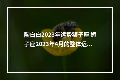 陶白白2023年运势狮子座 狮子座2023年4月的整体运势怎么样呢?
