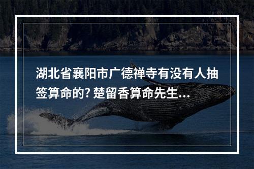 湖北省襄阳市广德禅寺有没有人抽签算命的? 楚留香算命先生在哪