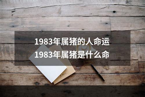 1983年属猪的人命运 1983年属猪是什么命