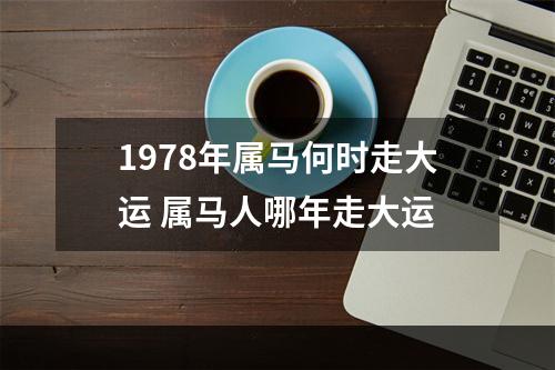 1978年属马何时走大运 属马人哪年走大运