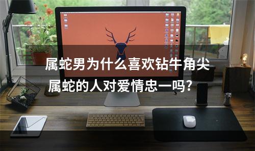 属蛇男为什么喜欢钻牛角尖 属蛇的人对爱情忠一吗?