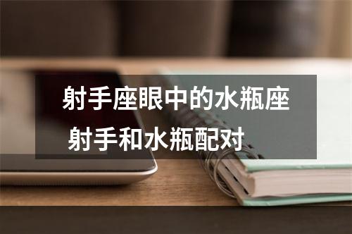 射手座眼中的水瓶座 射手和水瓶配对