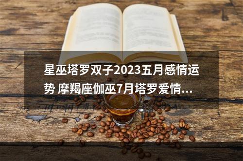 星巫塔罗双子2023五月感情运势 摩羯座伽巫7月塔罗爱情运势占子