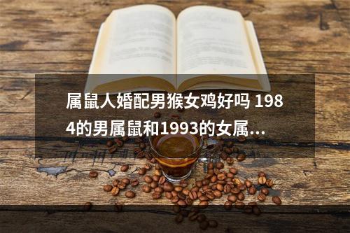 属鼠人婚配男猴女鸡好吗 1984的男属鼠和1993的女属鸡配吗