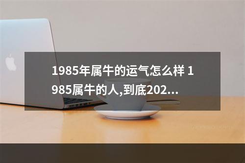1985年属牛的运气怎么样 1985属牛的人,到底2023年运势如何?
