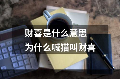 财喜是什么意思 为什么喊猫叫财喜