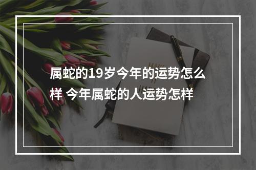属蛇的19岁今年的运势怎么样 今年属蛇的人运势怎样