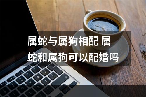 属蛇与属狗相配 属蛇和属狗可以配婚吗