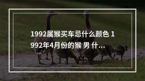 1992属猴买车忌什么颜色 1992年4月份的猴 男 什么颜色最旺,最忌讳什么颜色!急 谢谢