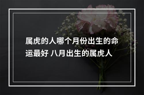 属虎的人哪个月份出生的命运最好 八月出生的属虎人